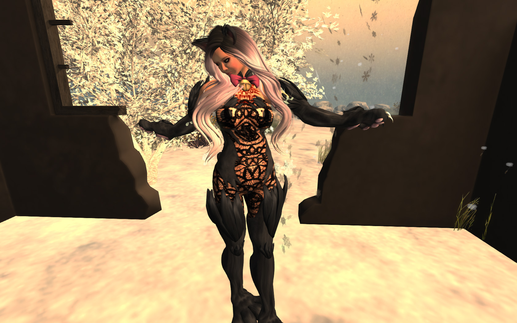 Orchid05