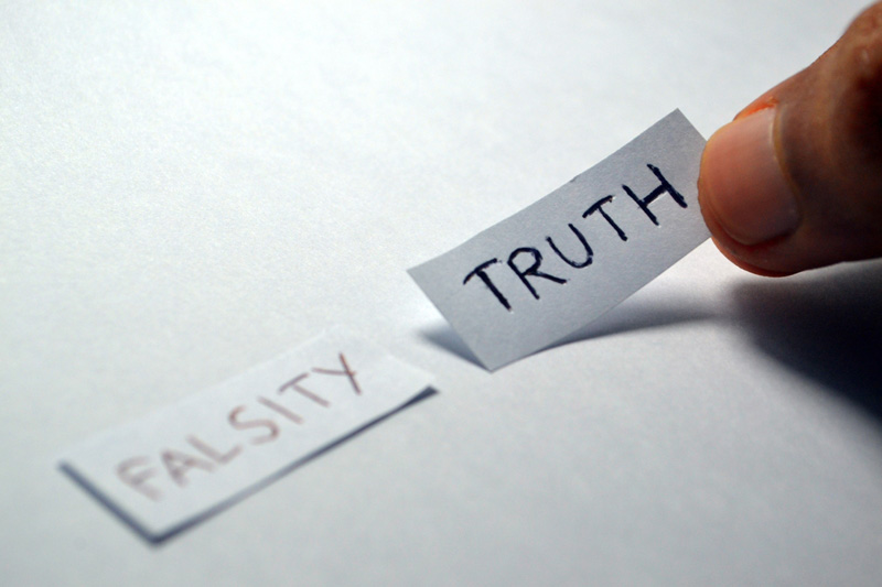 truth and falsity side by side truth in focus